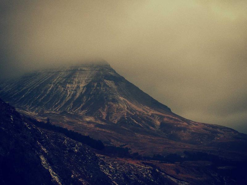 宠医在线<br>宠物健康与基因测序咨询